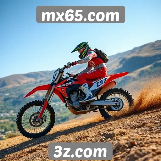 Análise dos recursos de mx65.com para jogadores iniciantes